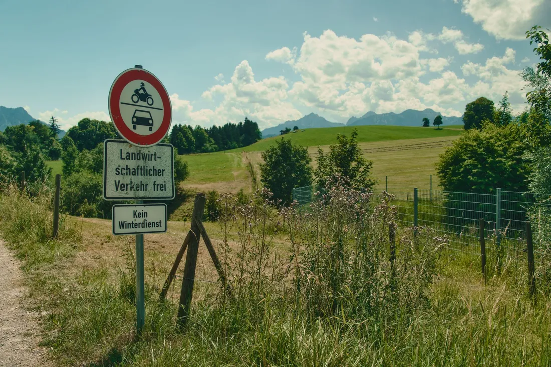 Feldweg mit Verkehrsschild am Wiesenrand, dahinter Wald und die Alpenkette am Horizont